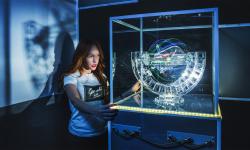 Competitive and cooperative quests: which option is right for you?